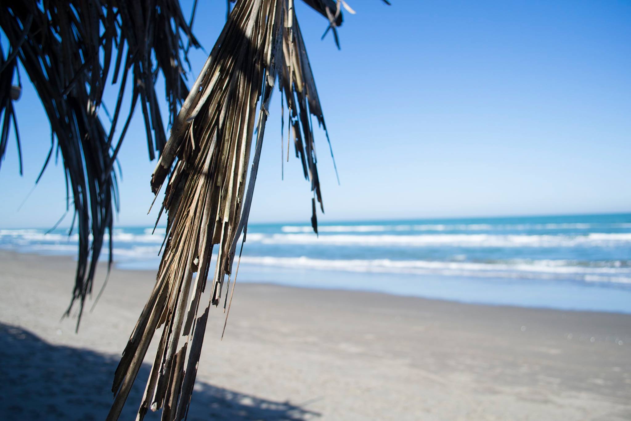 Vista de la playa Tecolutla